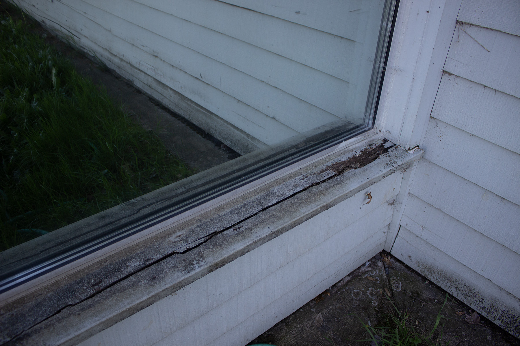 Kelso%20Window%20copy Kelso%20Window%20copy